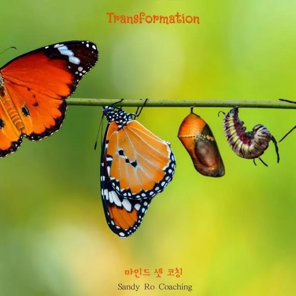 114. 추수감사절 스페셜, 2분의 Transformation 을 도네이션 합니다. 무료 6번 마인드 셋 코칭....