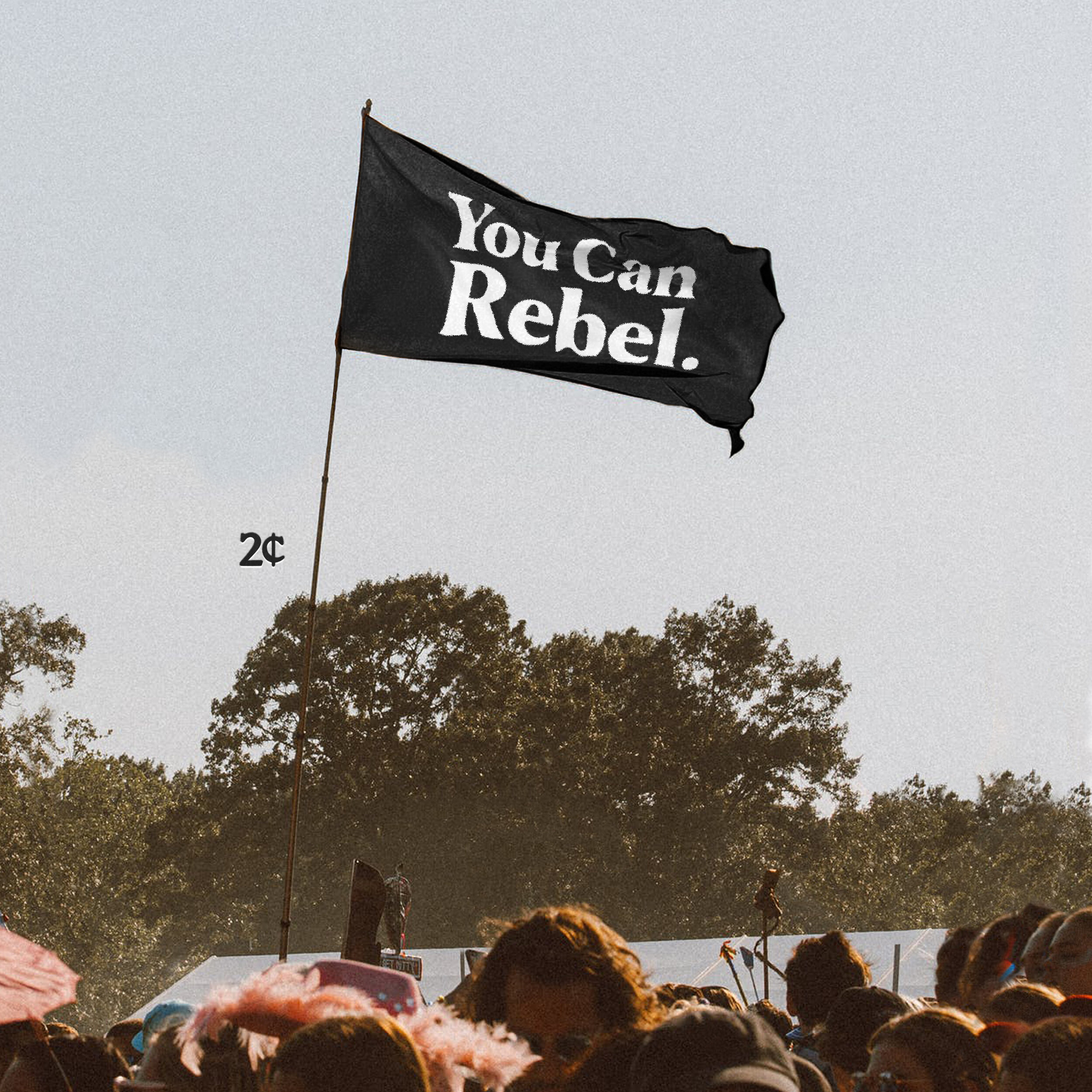 2C - REBEL.jpg