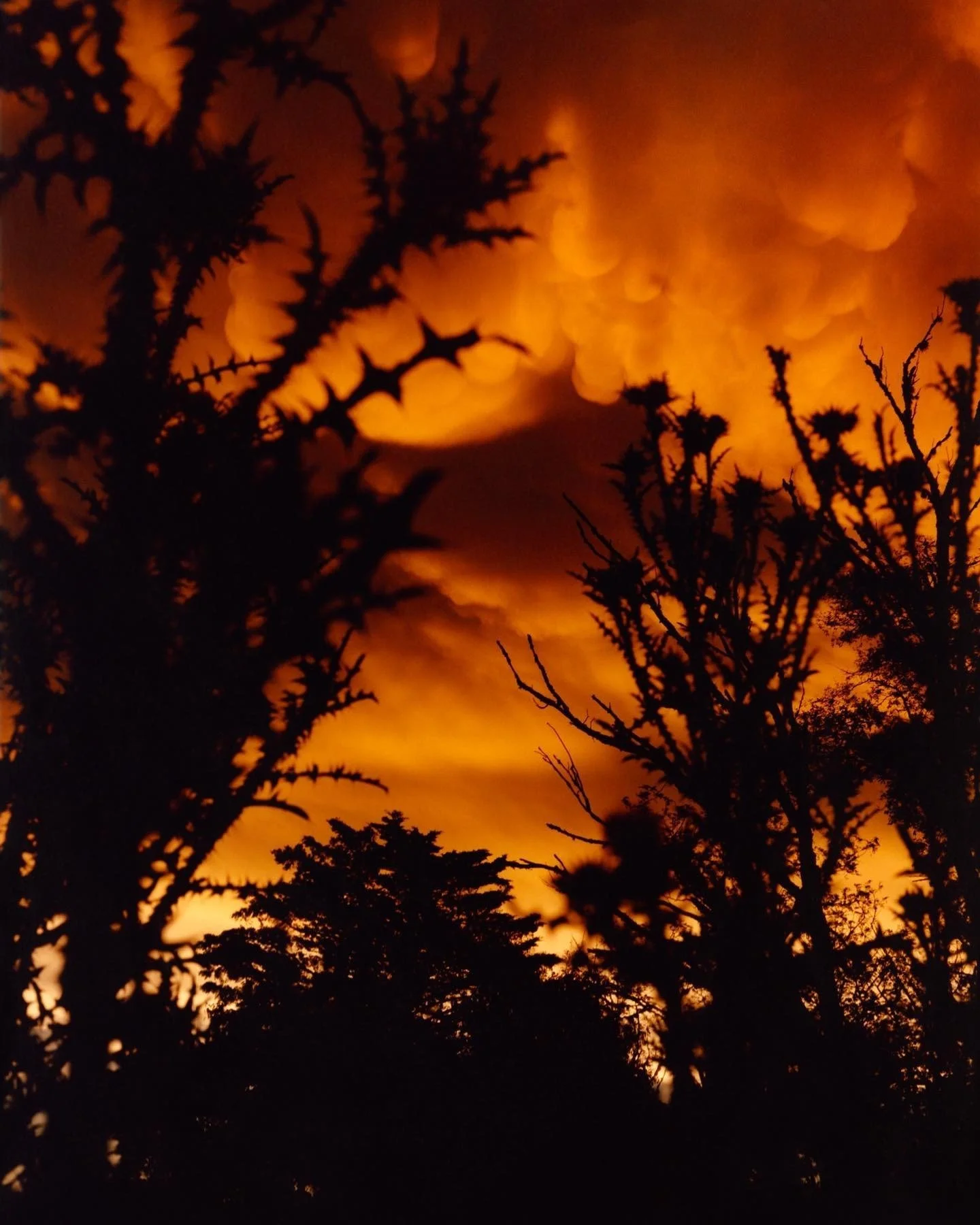 Sunset in Argentina by @jamie.hawkesworth