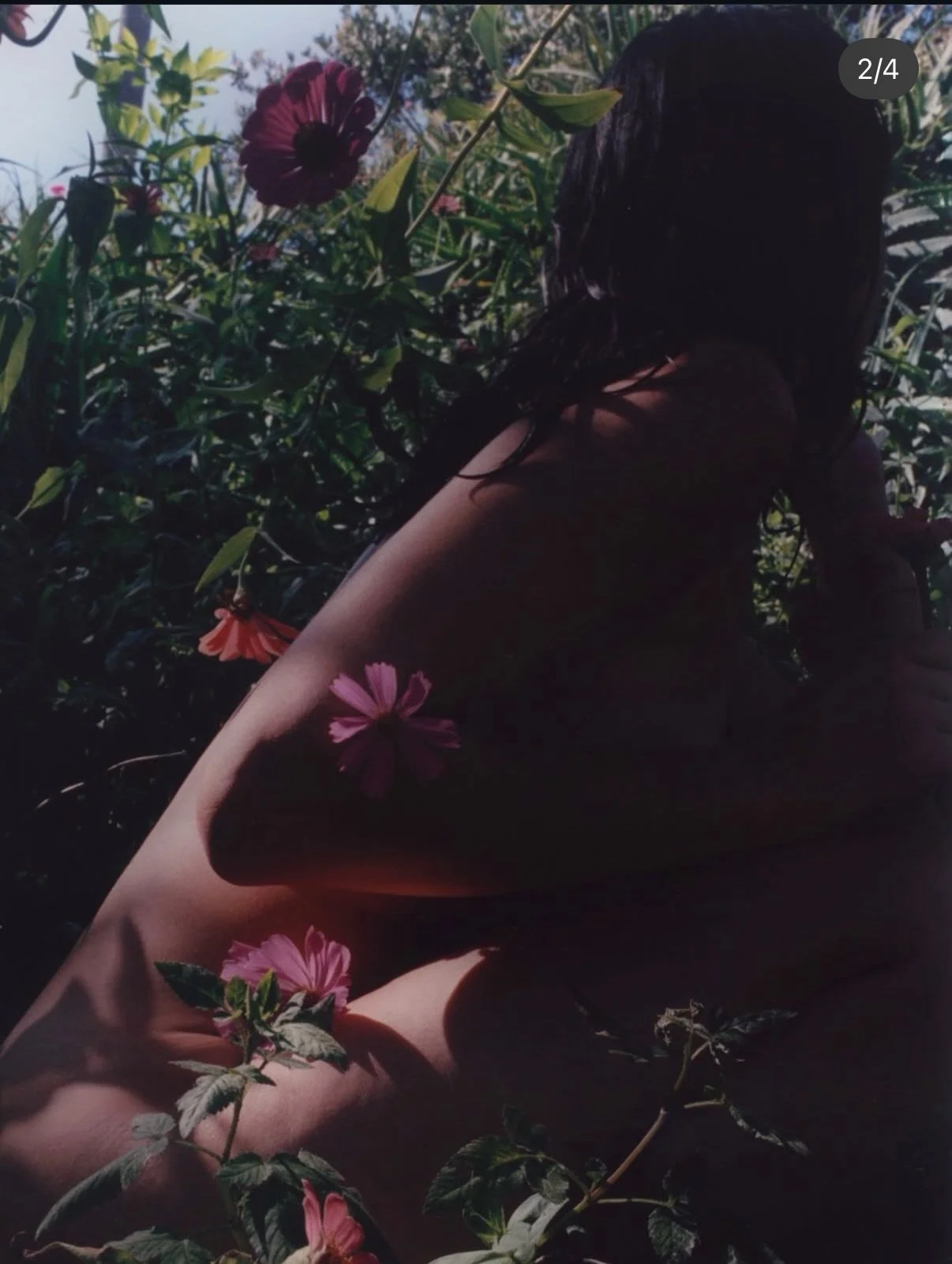 In @flamingo_estate &lsquo;s garden by @piariverola