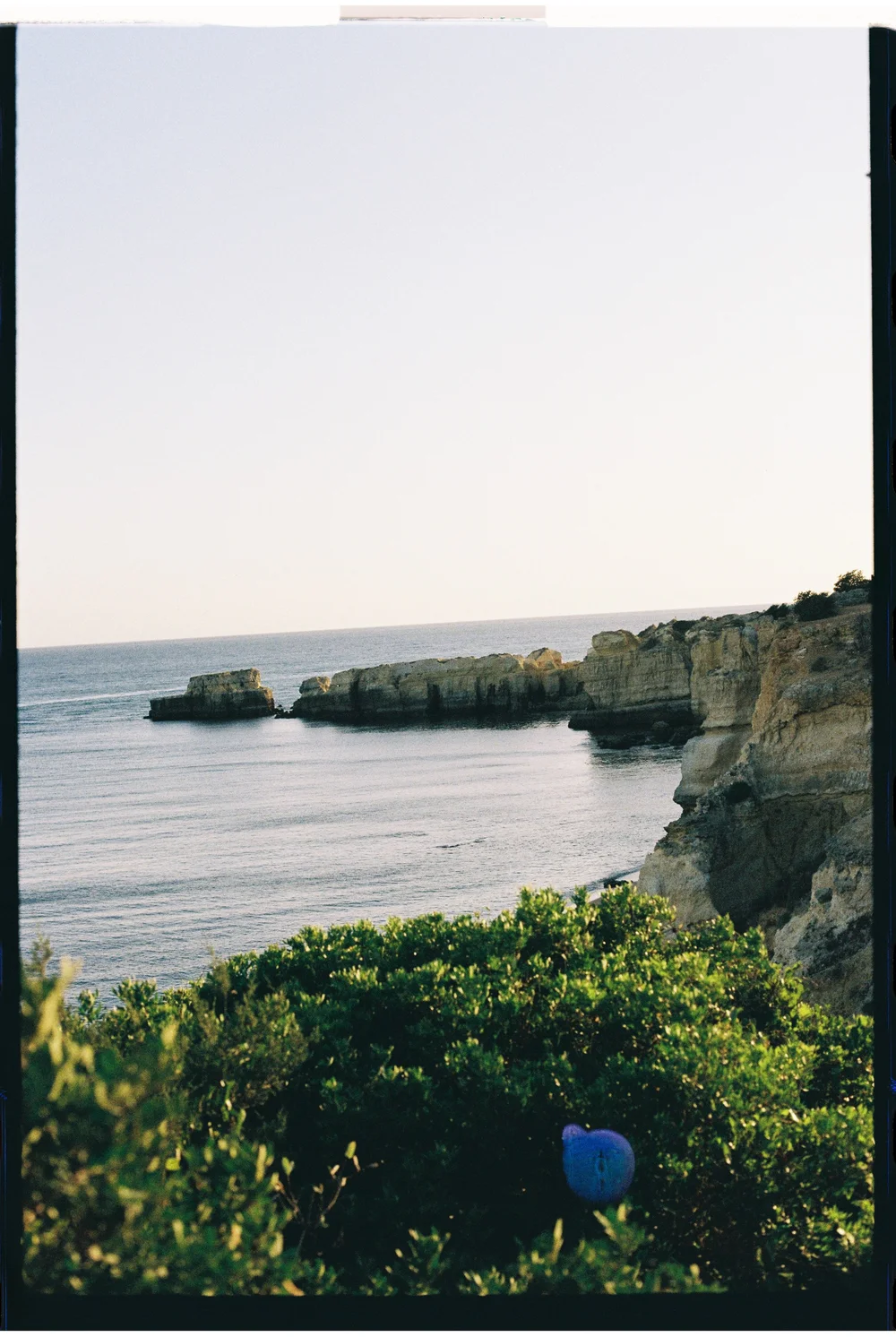 Antonina by Wesley — Others Magazine