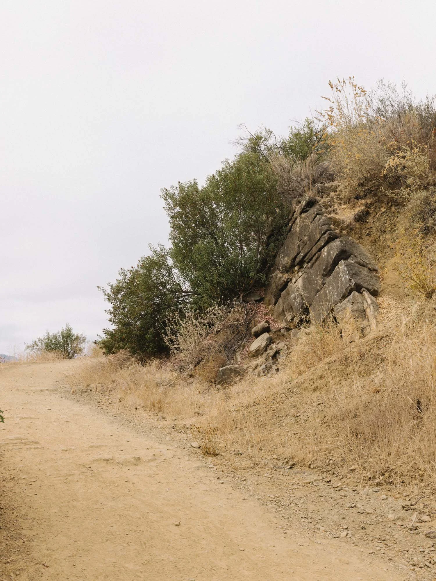 260814-Ojai-Shelf_Road-9544-WEB.jpg