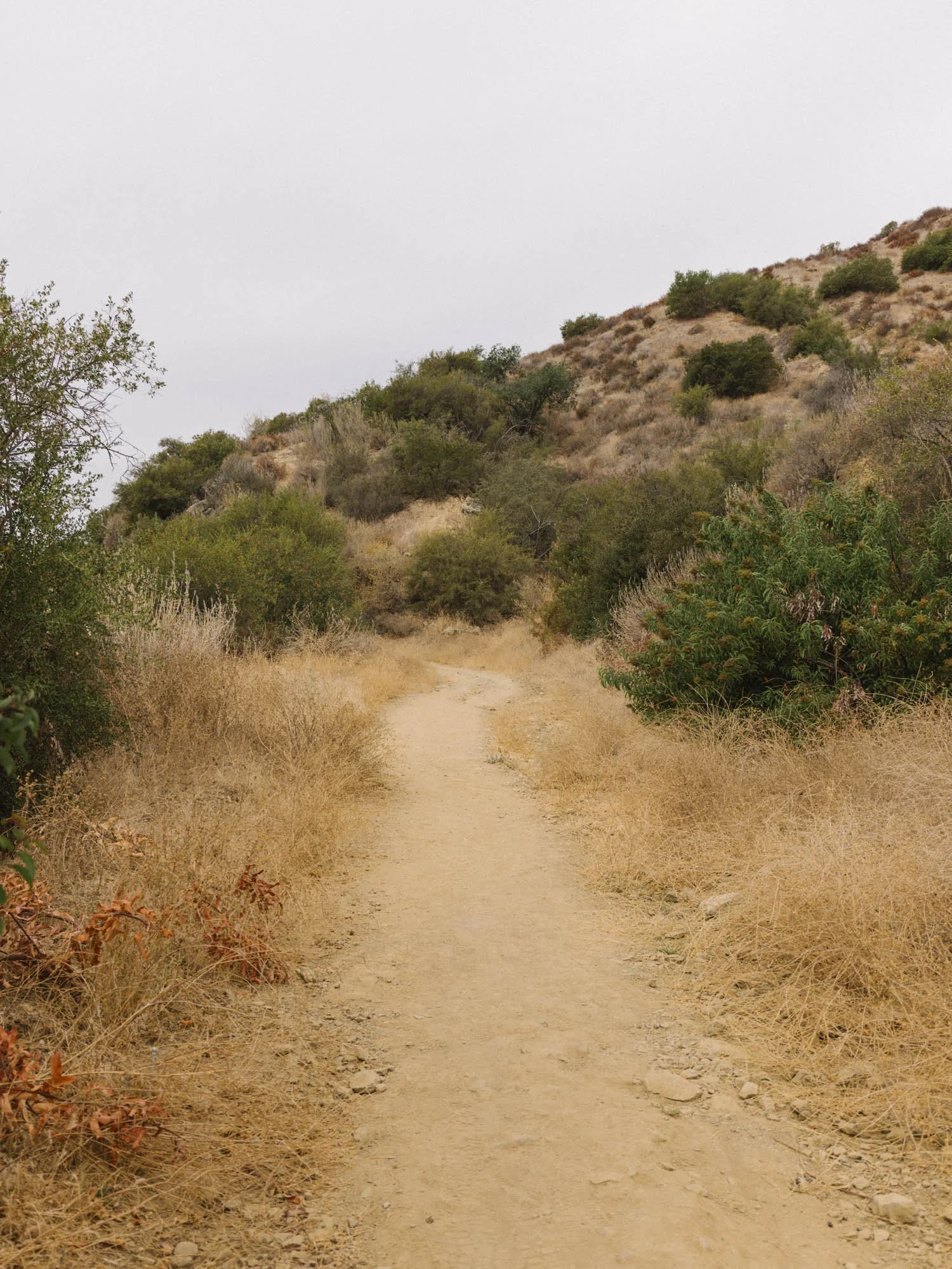 260814-Ojai-Shelf_Road-9539-WEB.jpg