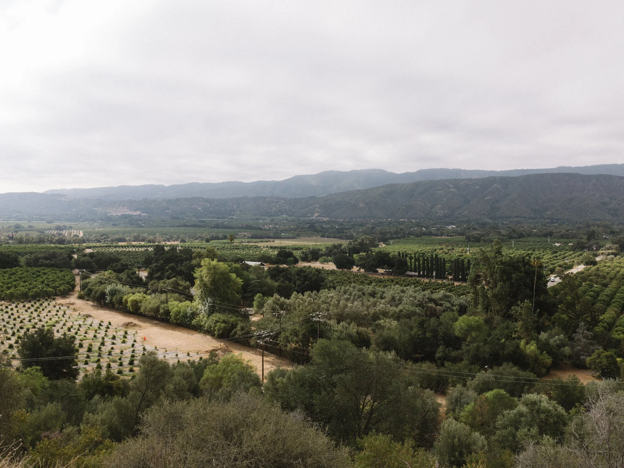 260814-Ojai-Shelf_Road-9553-WEB.jpg