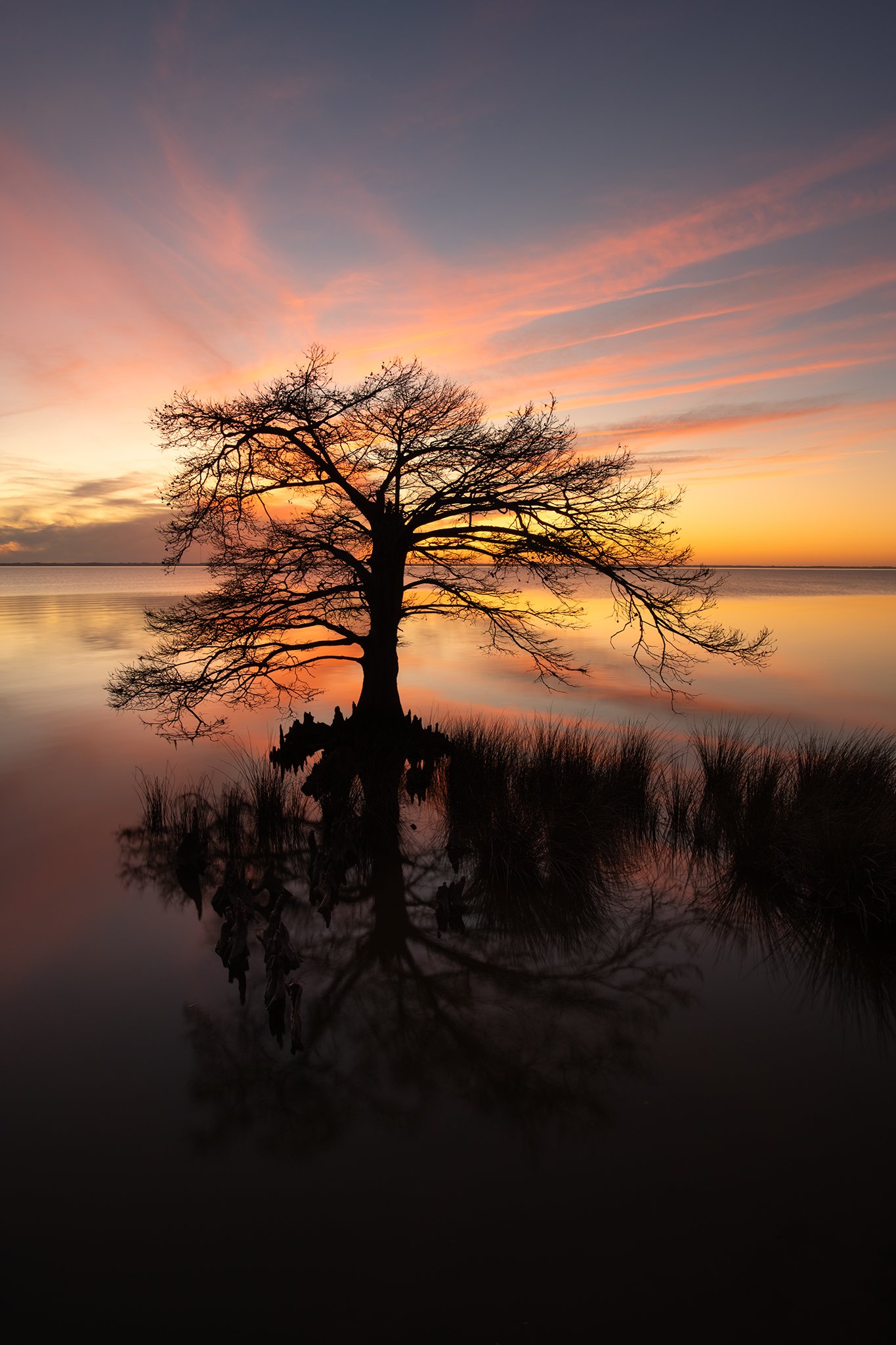 Little Cypress Sunset_Duck_1w.jpg
