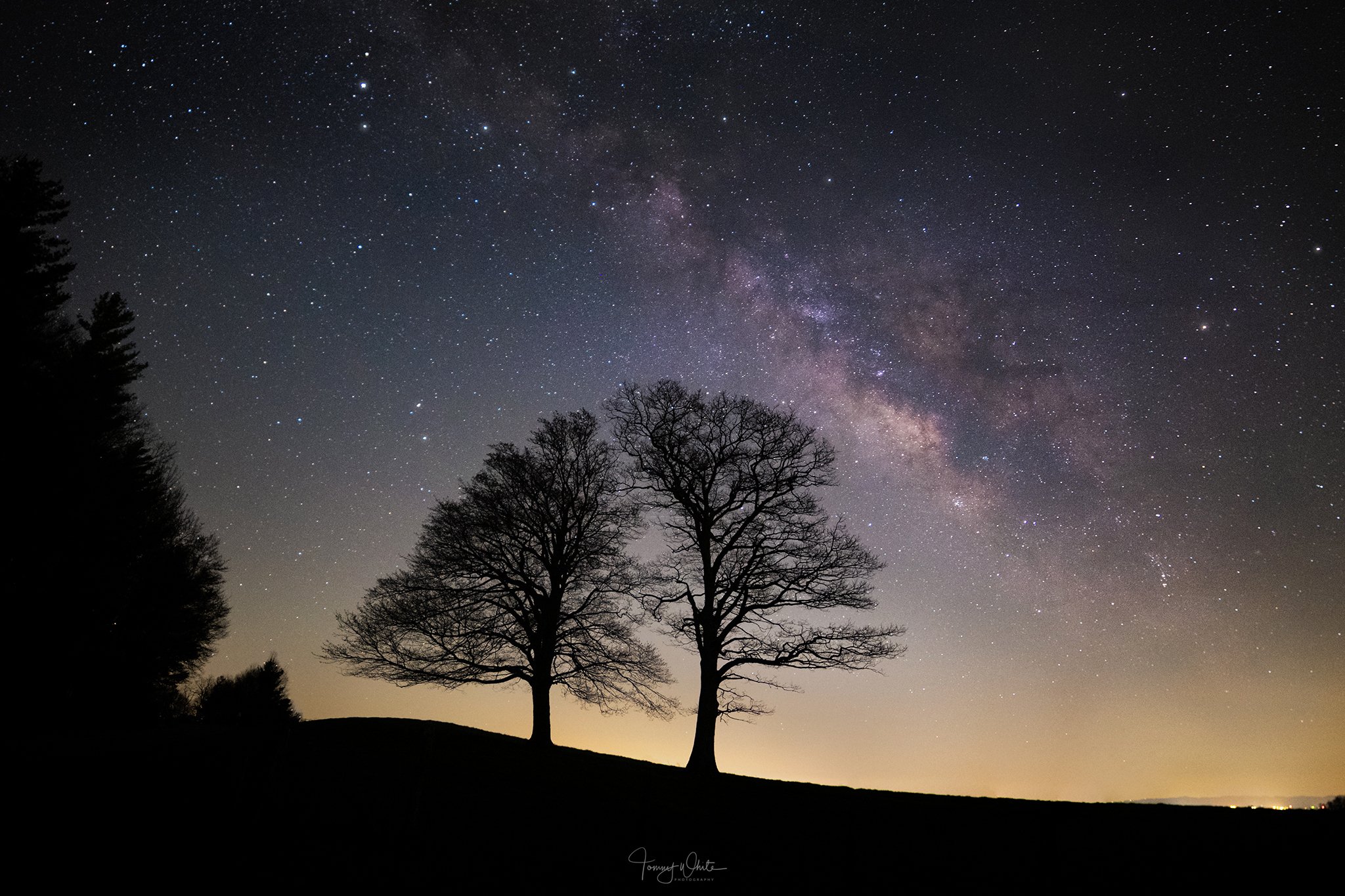 Twin Trees Astro_H_1w.jpg