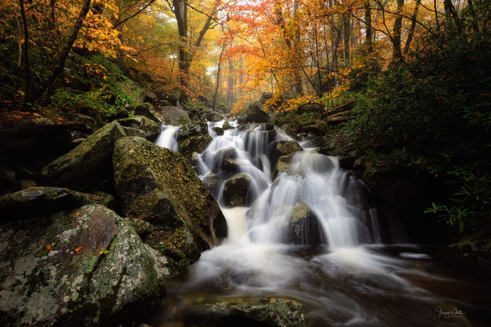 Wilson Creek upper falls_1w.jpg