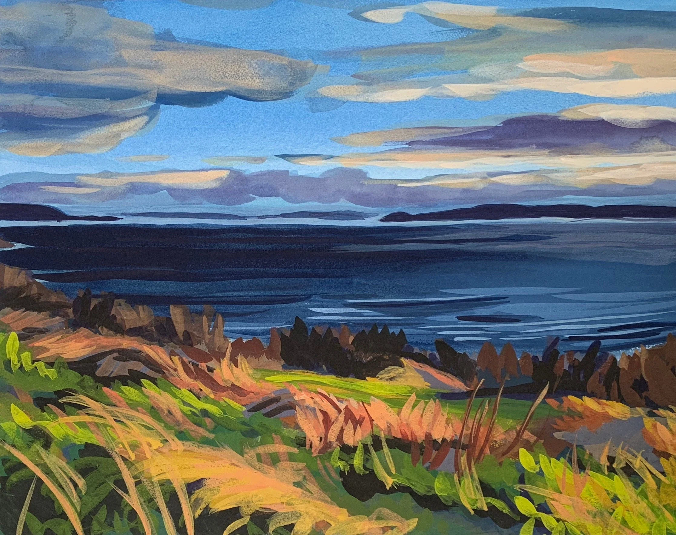 Discovery_Park_Bluff.jpg
