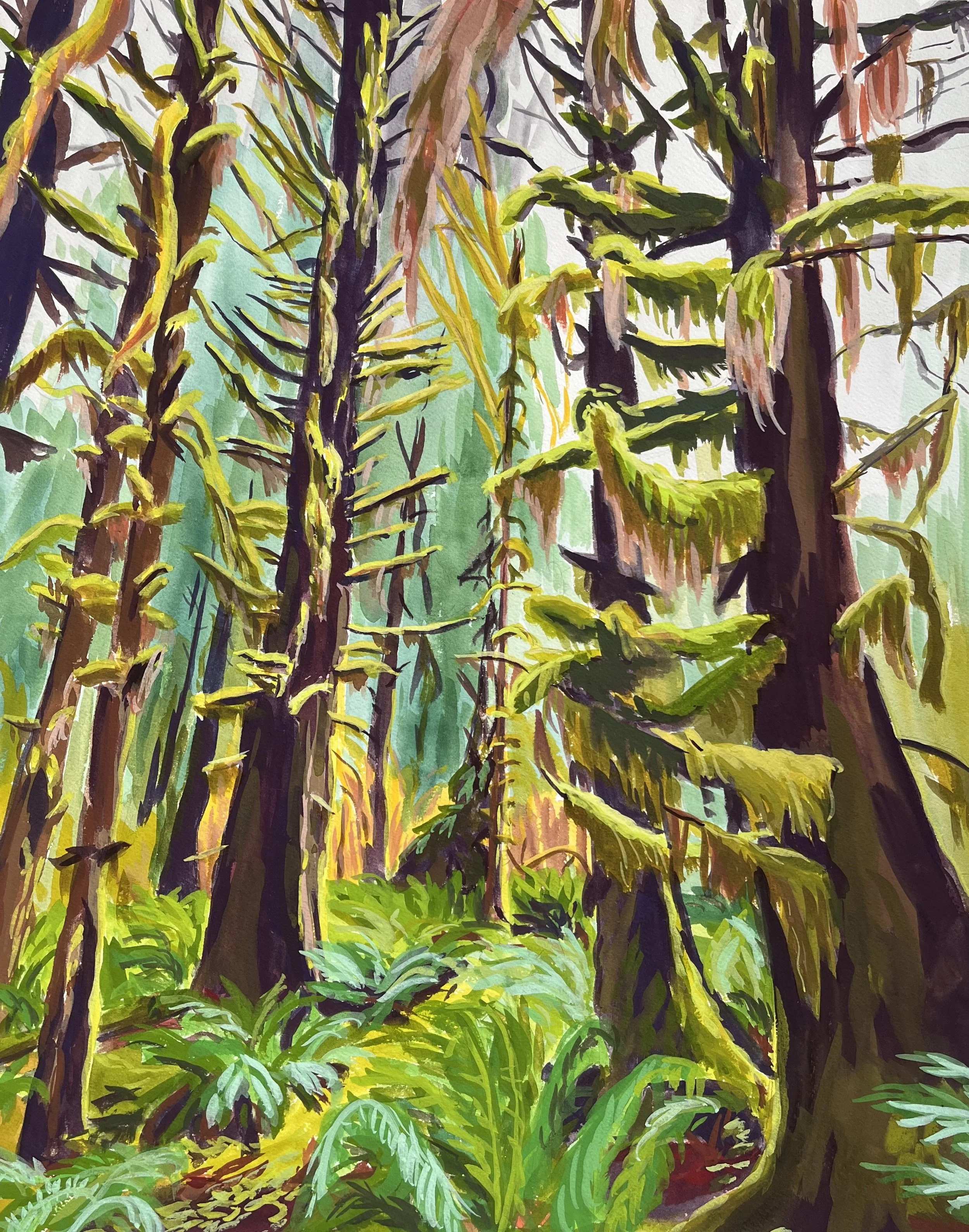 The Hot Rain Forest, October, Olympic National Park