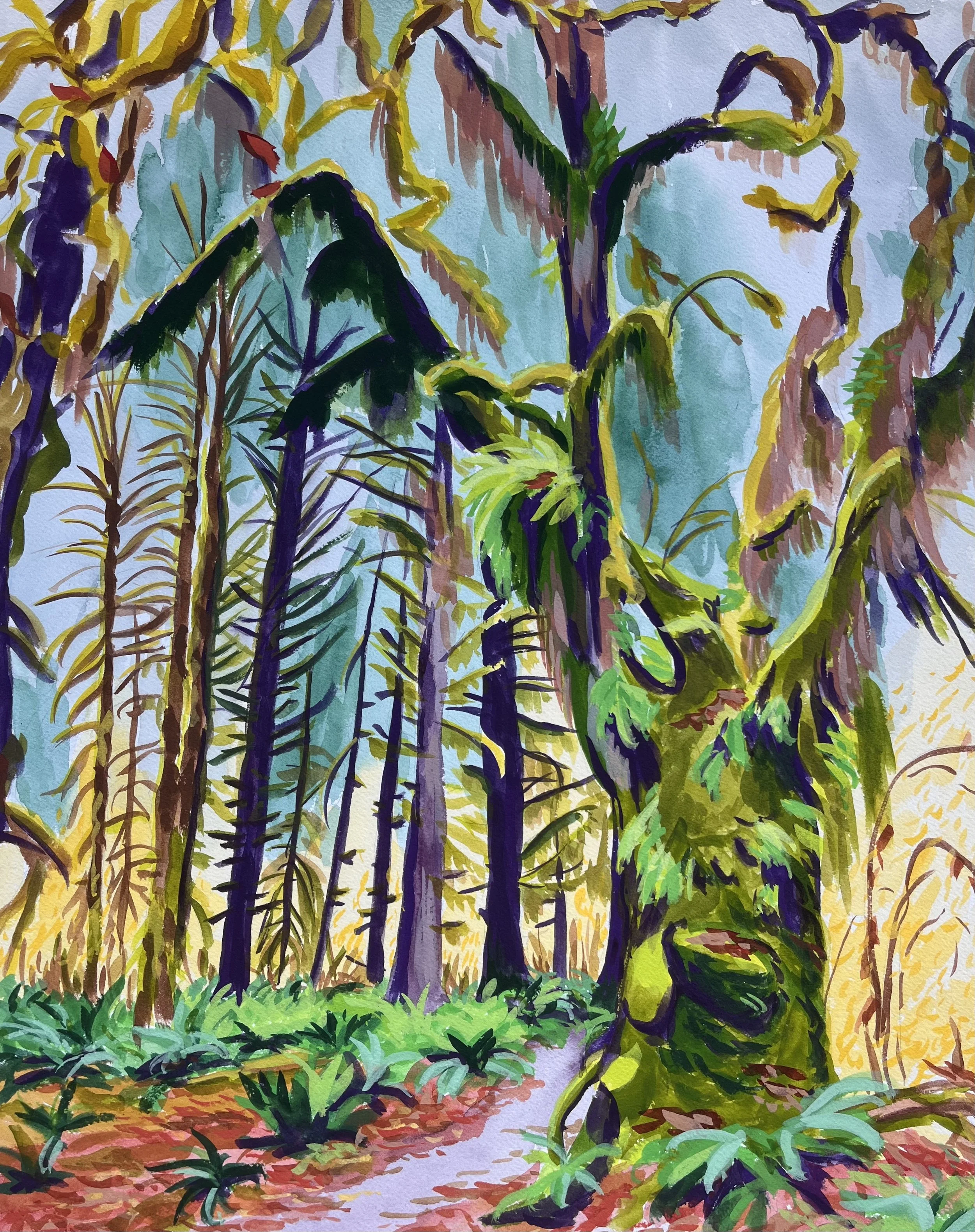 Mother Tree, Hoh Rainforest, Olympic National Park