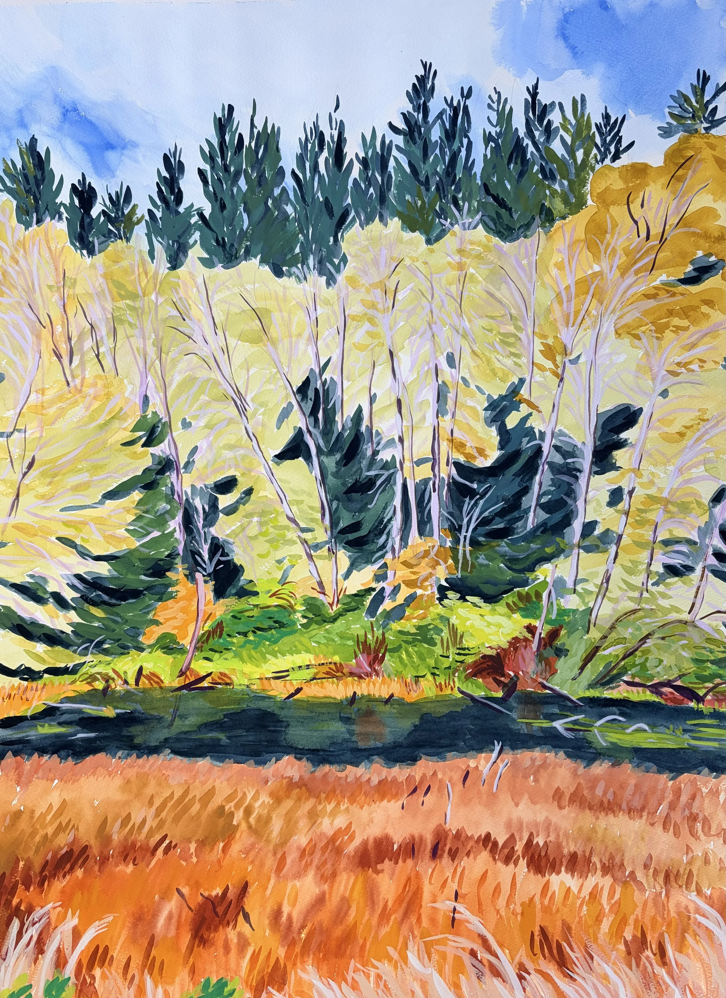 Marsh, Hoh Rainforest, Olympic National Park