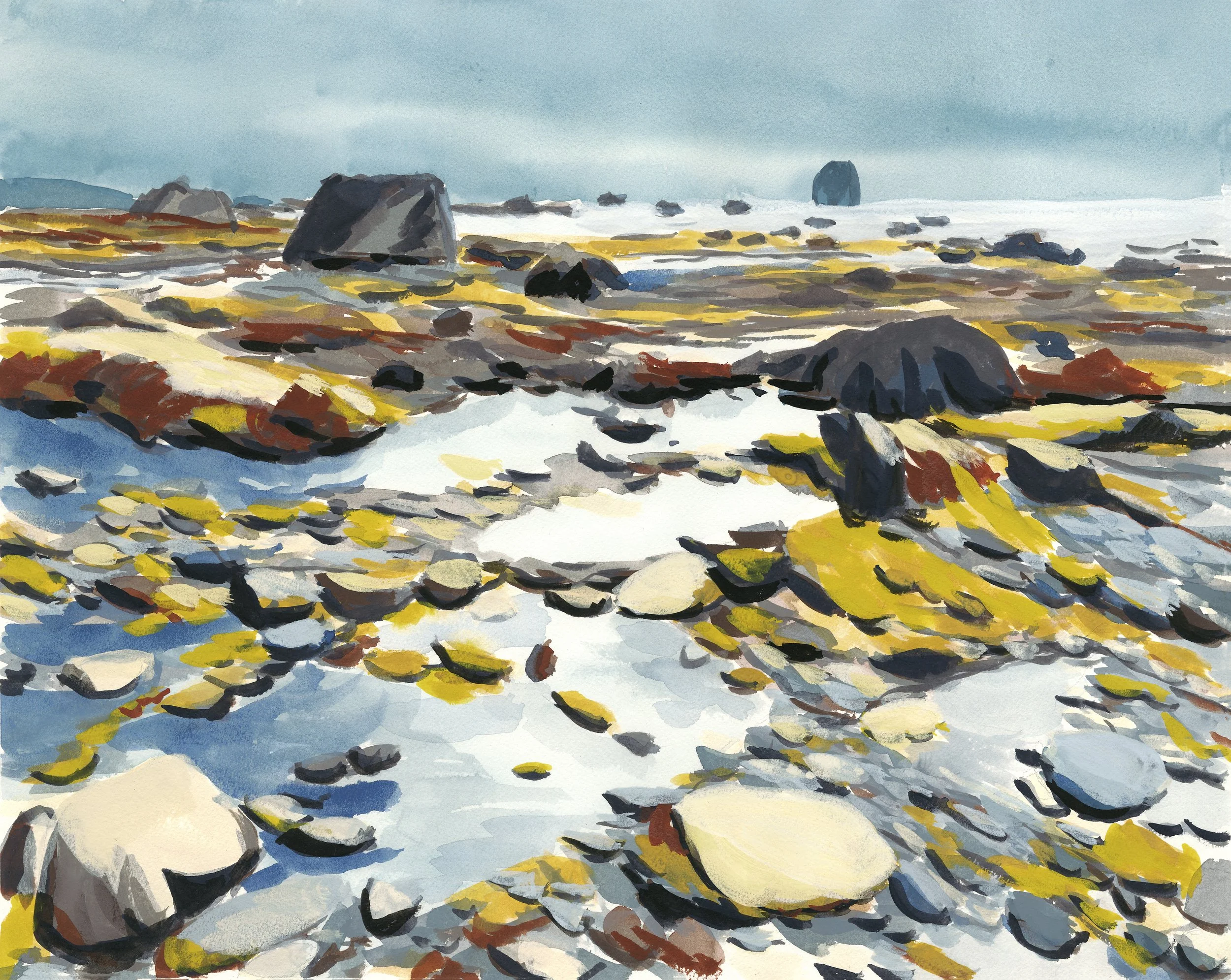 79966 tidal pools.jpg