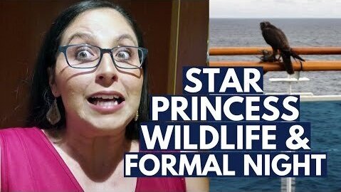 Star Princess Alaska Cruise Day 2 Formal Night, Wildlife Sightings, Voice of the Ocean!