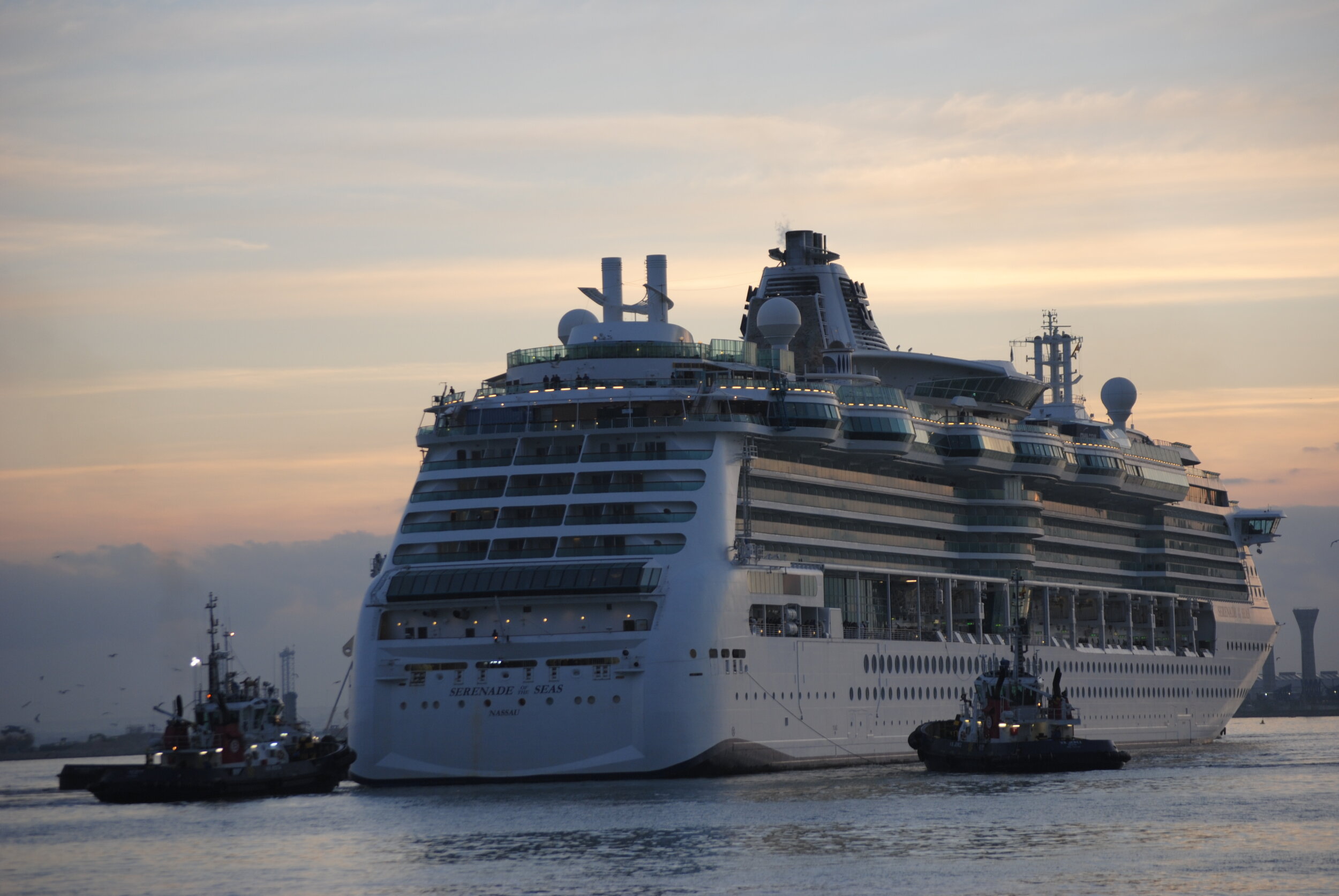 tampa cruise port serenade of the seas