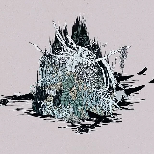 Floating, rotting, isolation and growth.

#illustration #swamp #penandink #finishingoldprojects