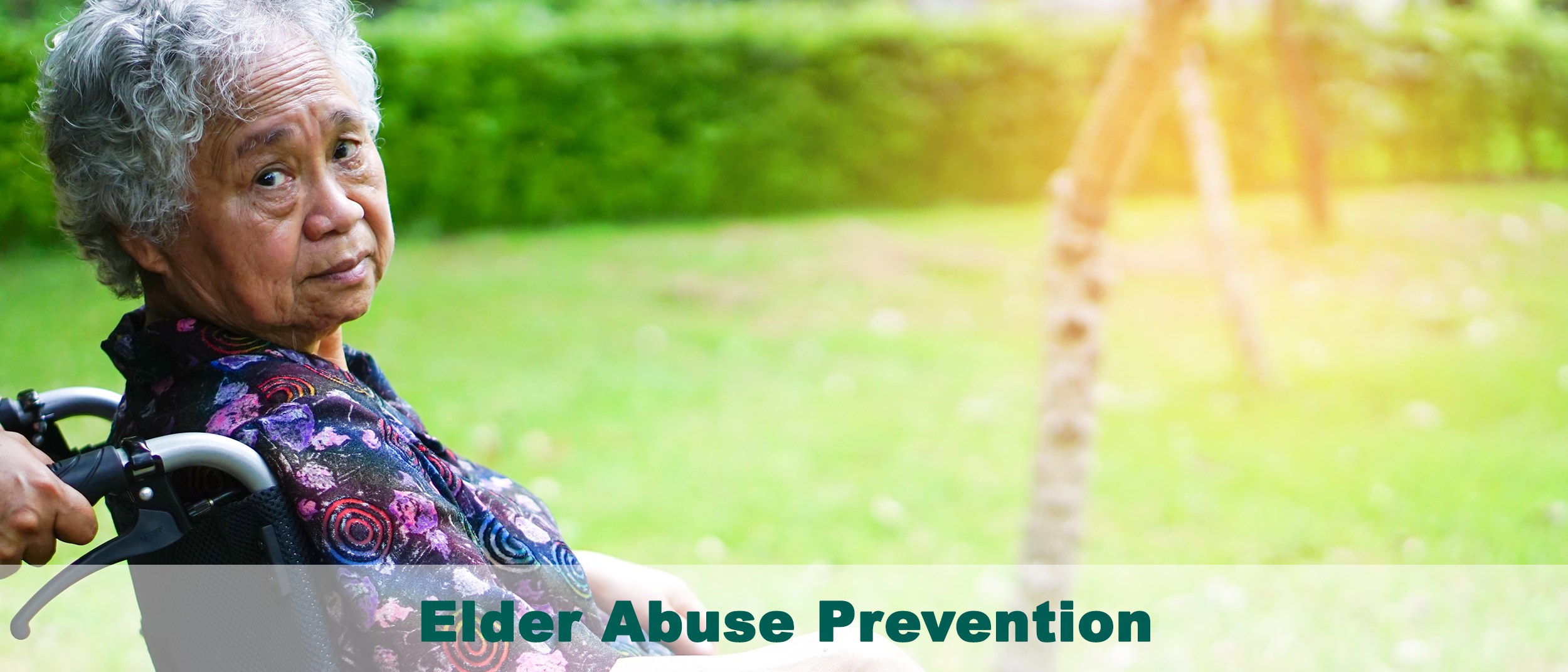 Elder Abuse Prevention