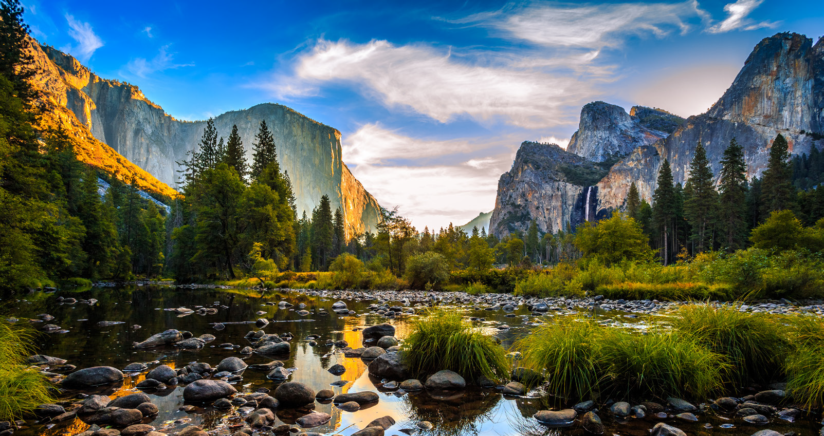 Trips - Yosemite Spring.png