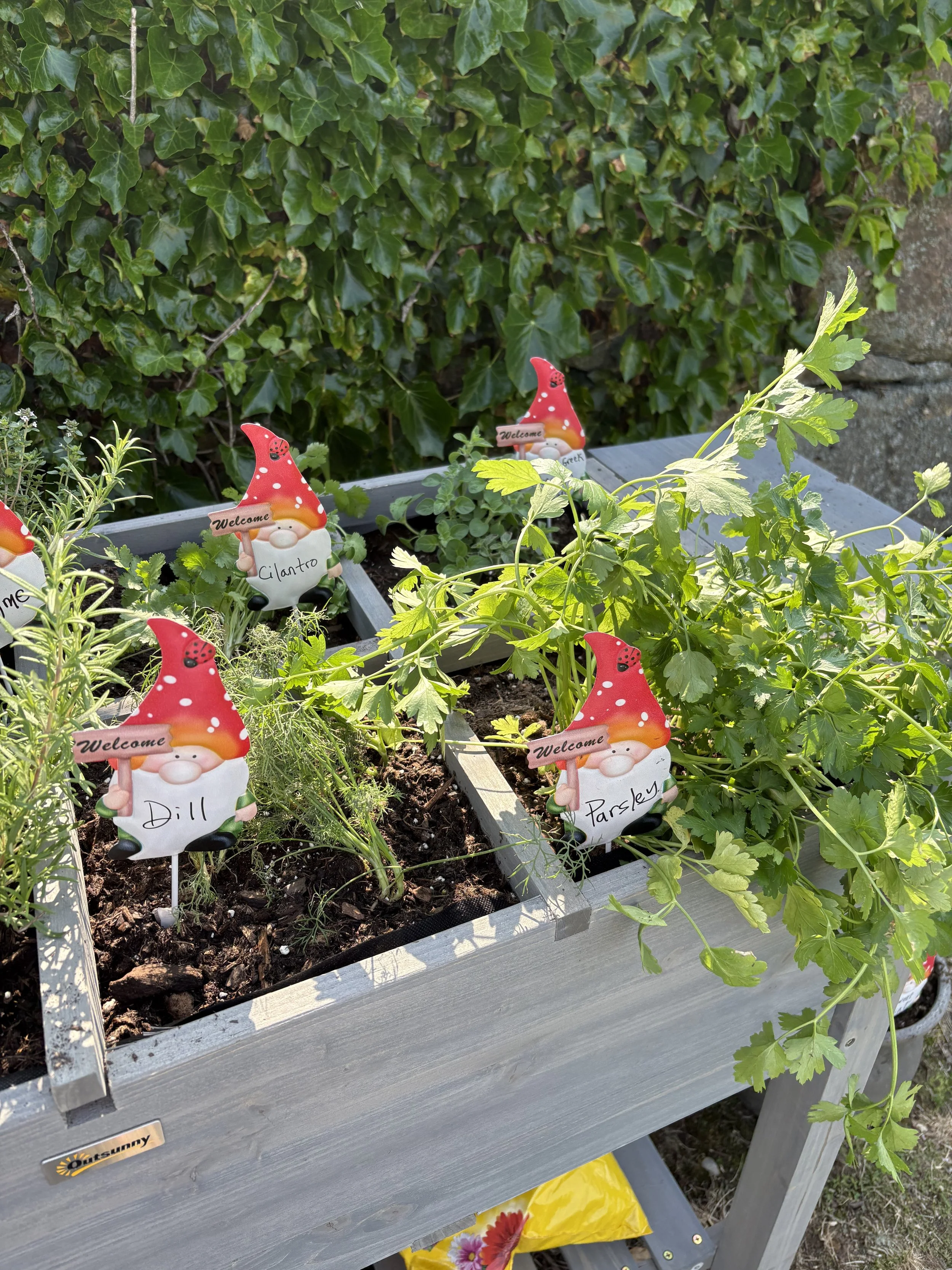 Help Yourself To The Herb Plants