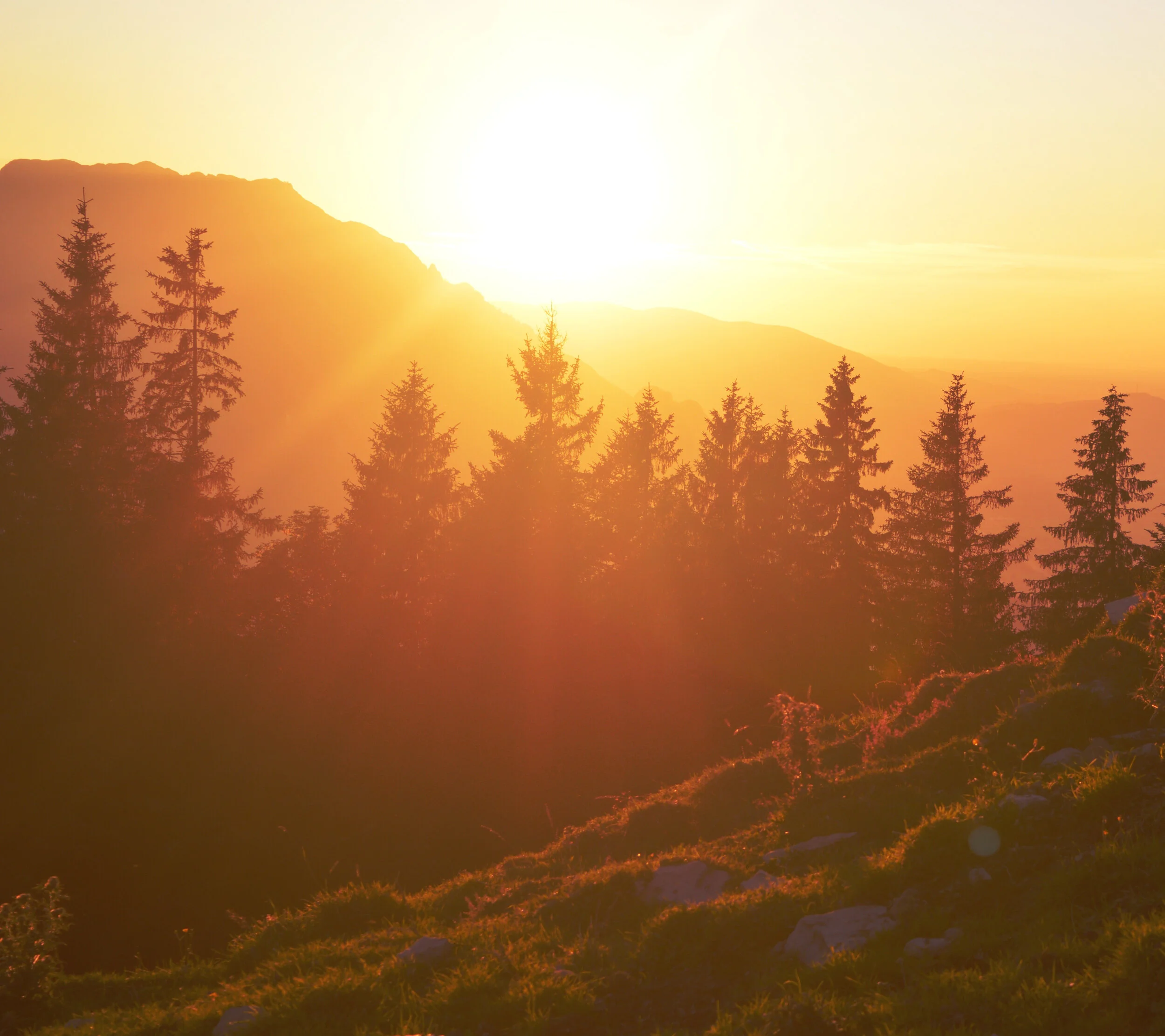 afterglow-backlit-dawn-dusk-266617 cropped.jpg