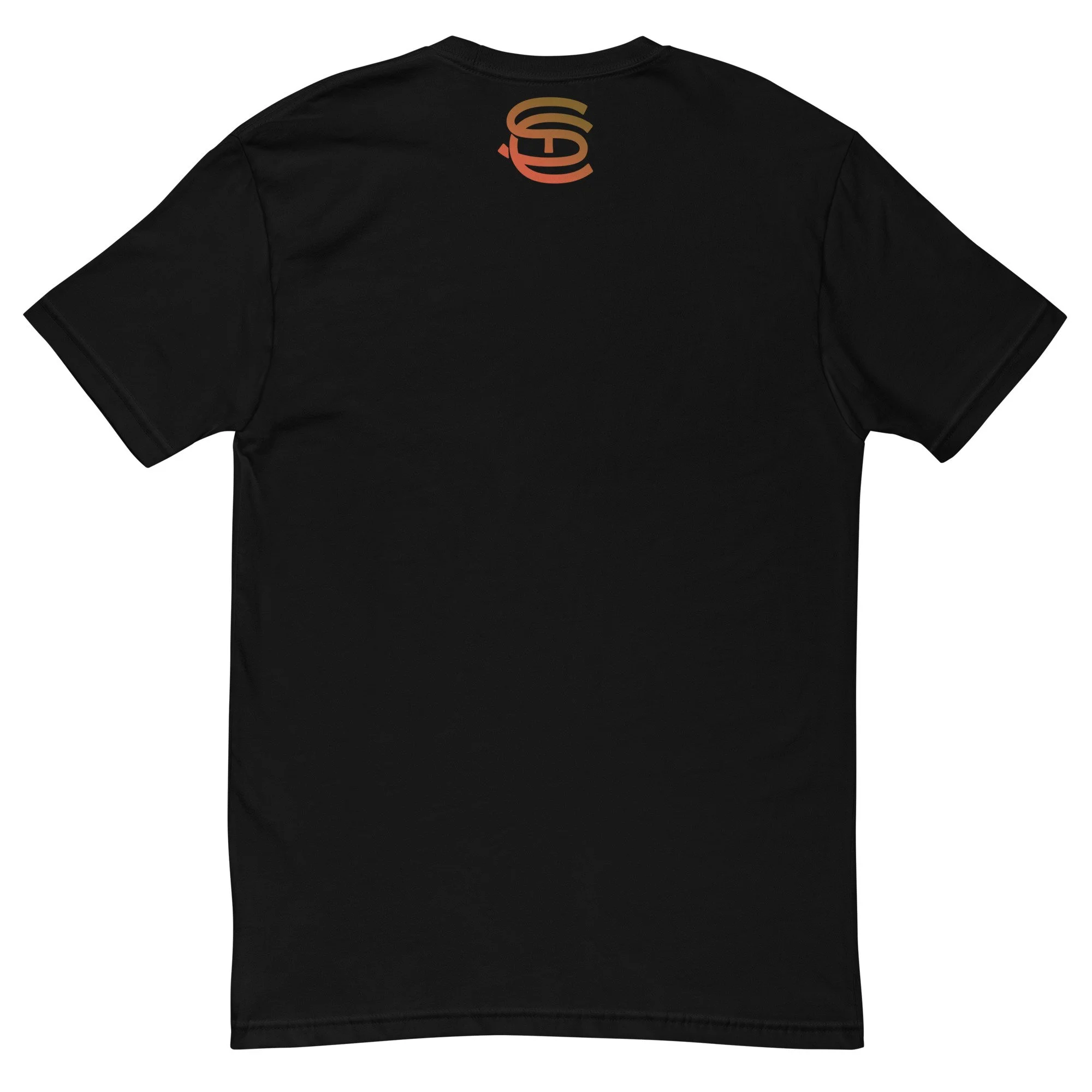 mens-fitted-t-shirt-black-back-6ac0657d3c7e0.jpg