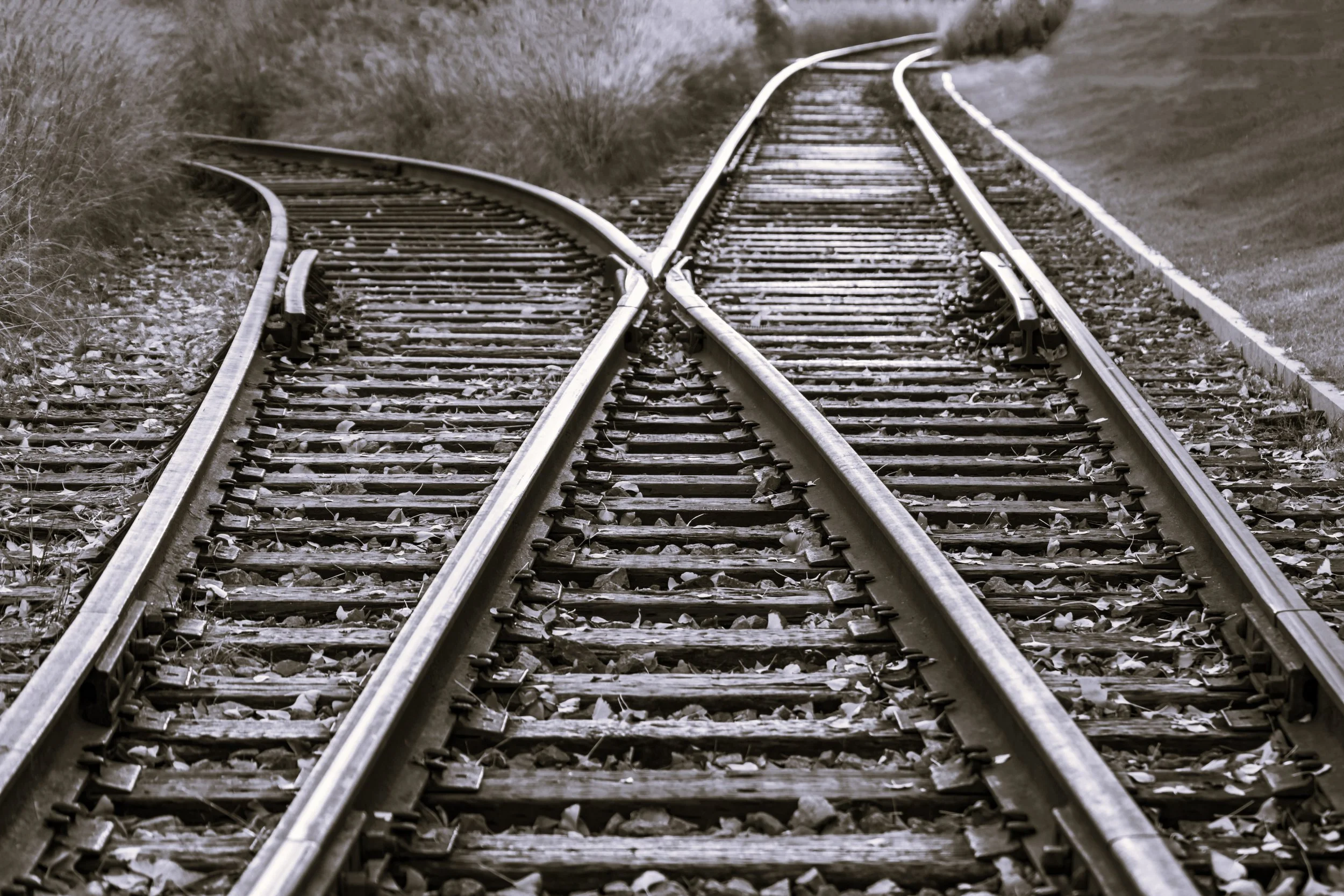 Separation and Divorce: A Financial Guide for the Decisions That Matter Most