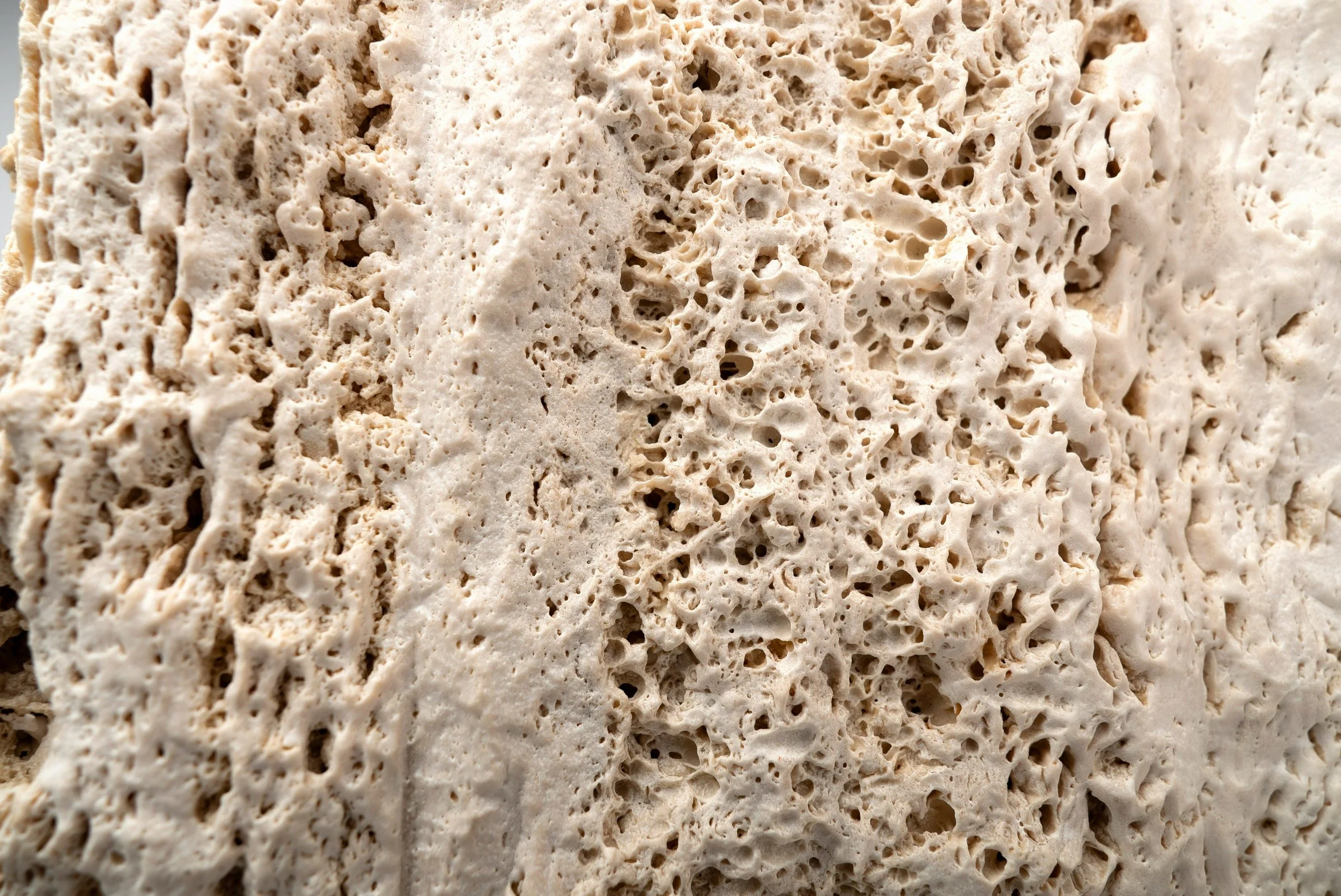 2023-11-23 - Roth Architecture - Neom Samples-4.jpg