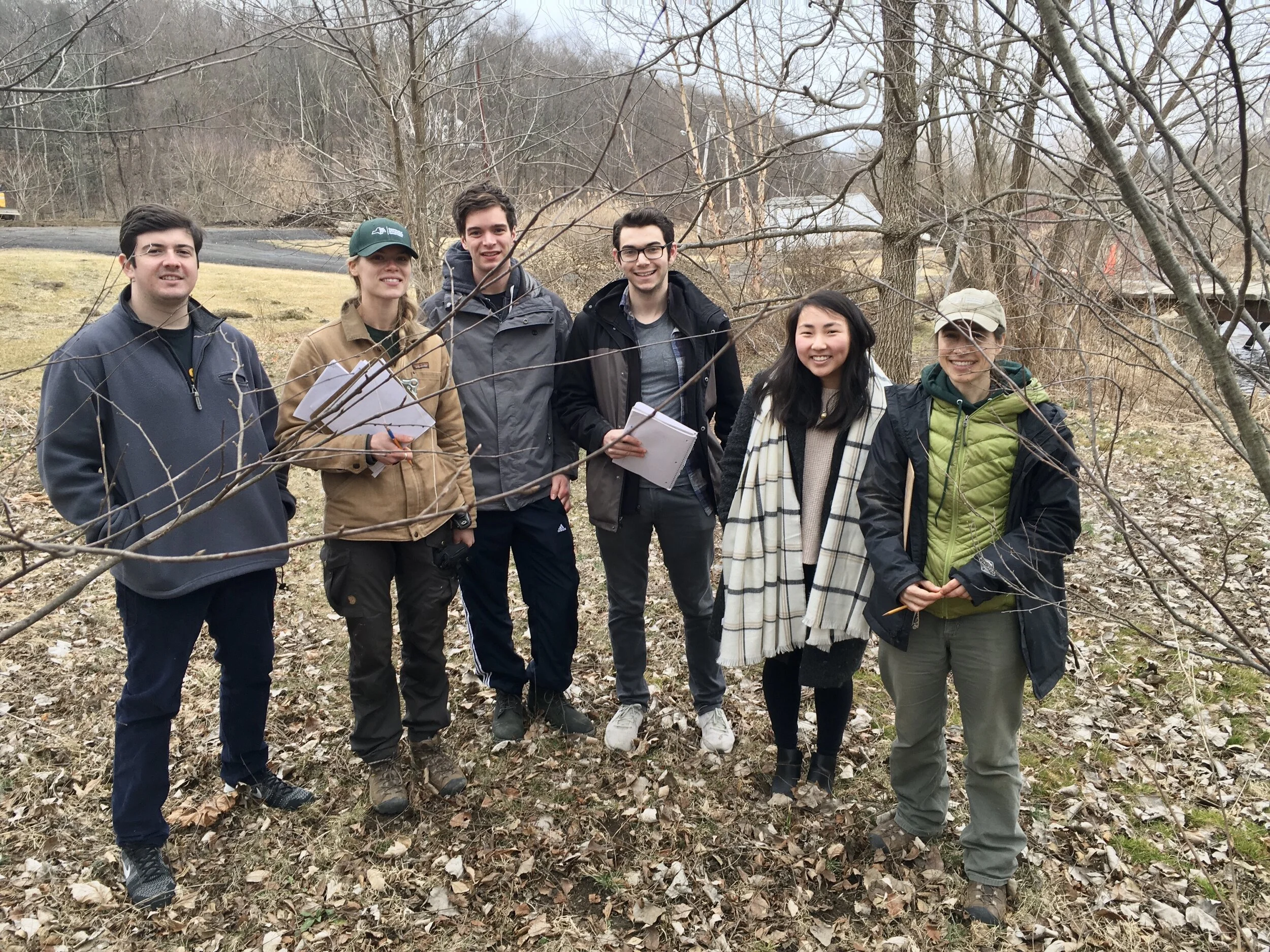 UPDATE Trees for Tribs Planting along the Landsman Kill — Climate