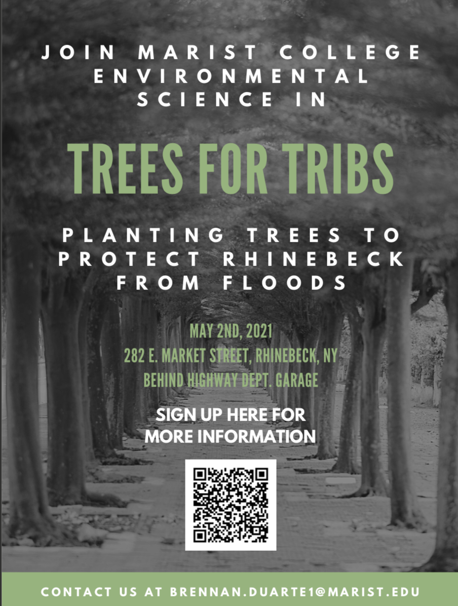 UPDATE Trees for Tribs Planting along the Landsman Kill — Climate