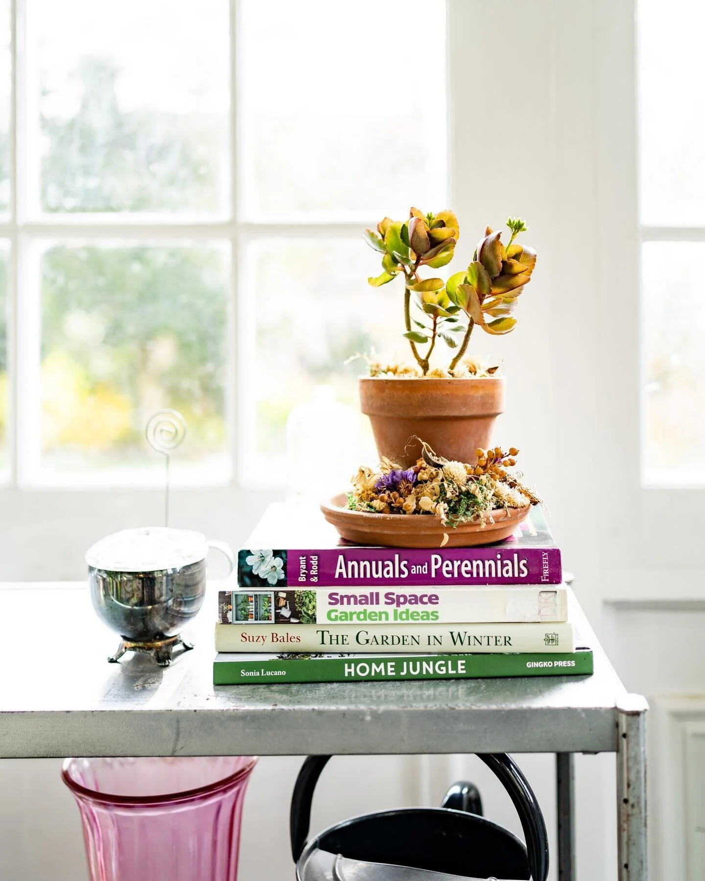 Happy Thanksgiving from our sunporch! Fortunate for all my connections via this platform, the health of my family and everyday I get to wake up on this earth 🌏⁣
⁣
⁣
⁣
⁣
#mybigdumbhouse