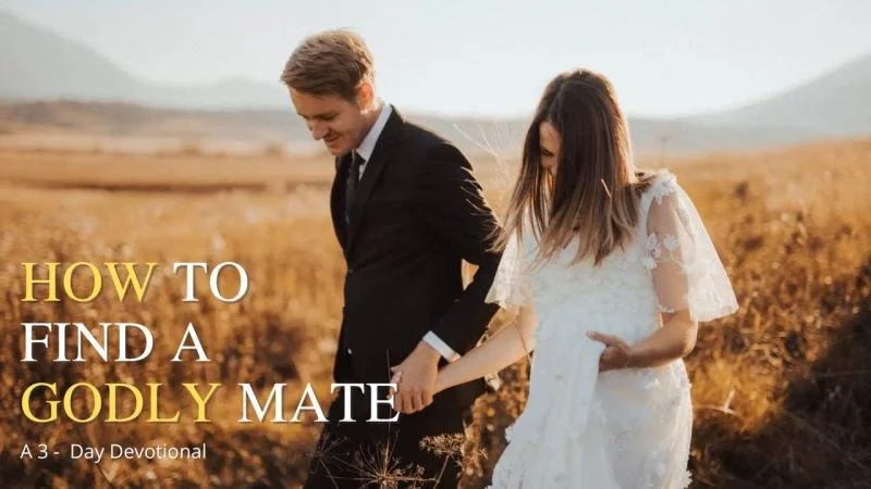 Are You Looking For A Godly Partner?