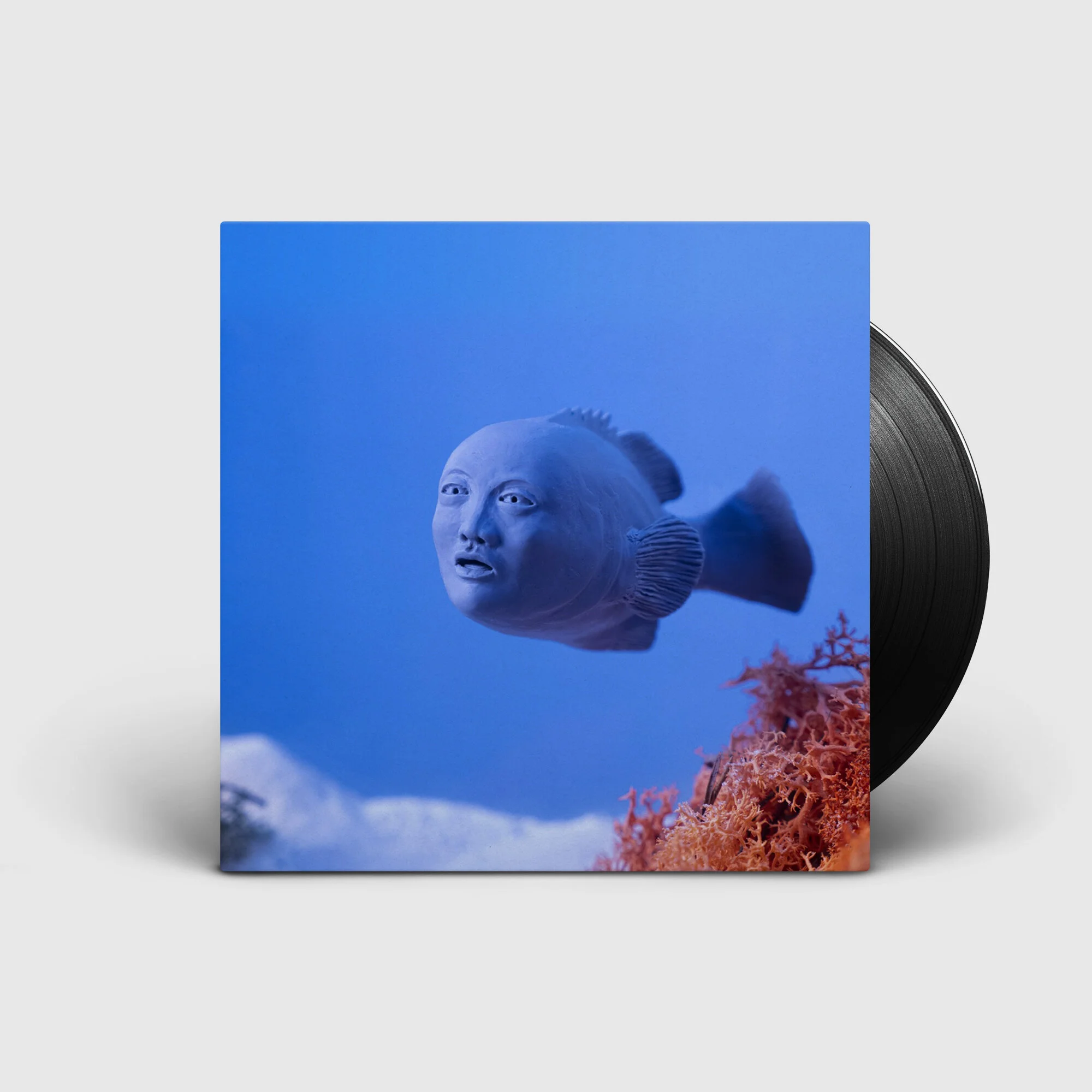 Chase Bliss Records_Hainbach_Assertion.jpg