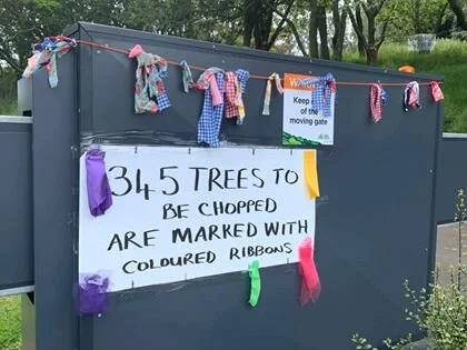 Exotics aren’t evil