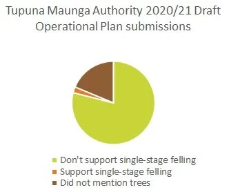 Public give a resounding ‘No’ to maunga tree-felling