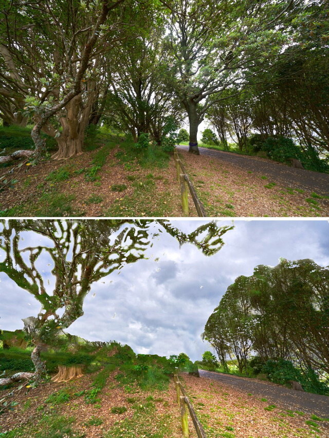 Successful restoration need not require destruction to succeed