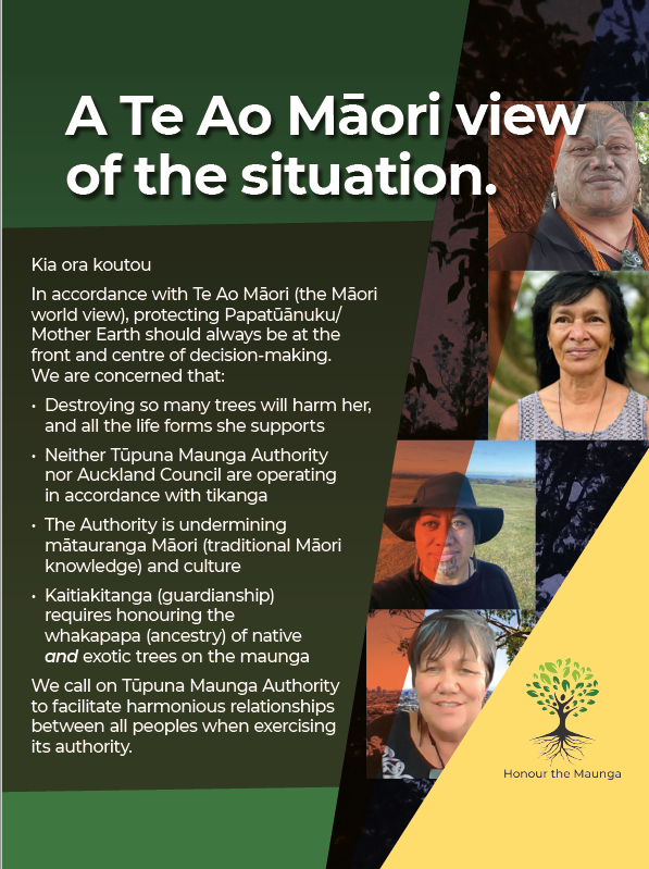 Accusations of racism and colonialism marginalise Māori in the maunga tree debate