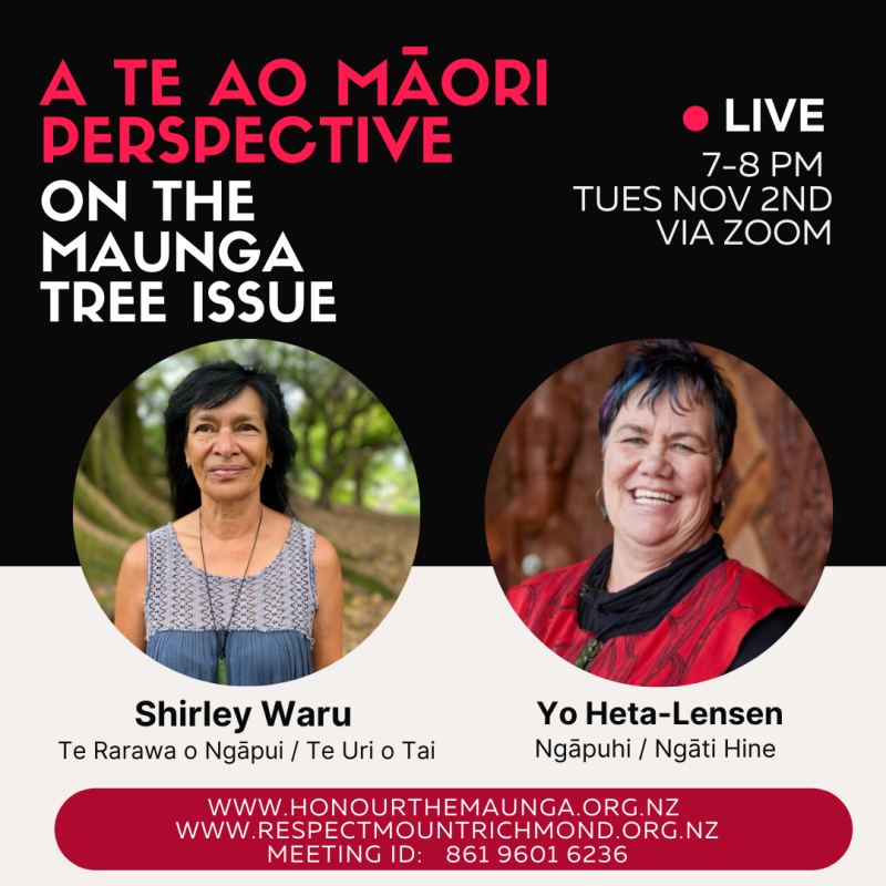 Webinar: A Te Ao Māori perspective on the maunga trees