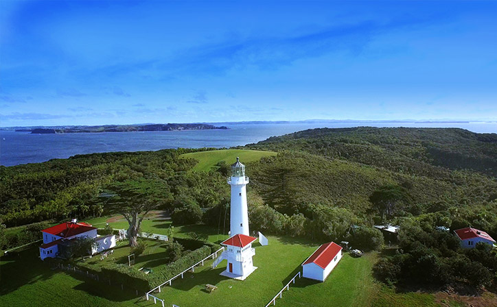 Maunga revegetation project not a patch on Tiritirimatangi's