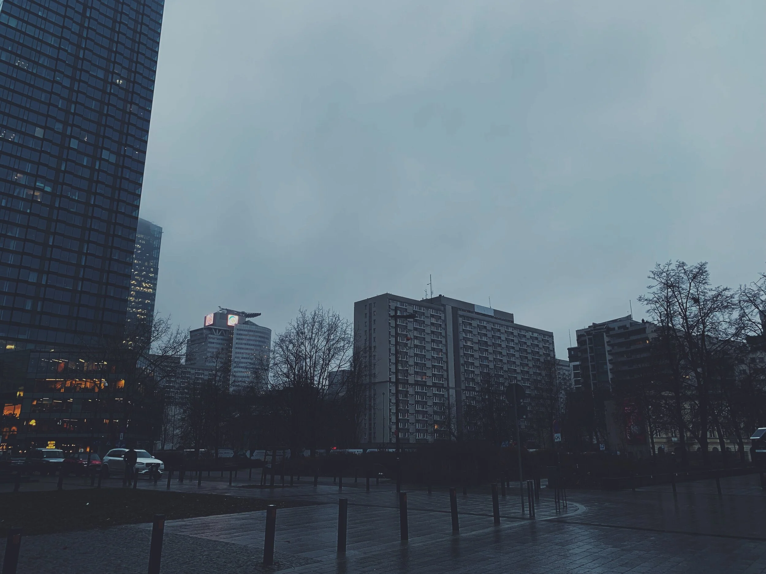 178D4E85-85EF-4138-99A0-C763B364102B.JPG