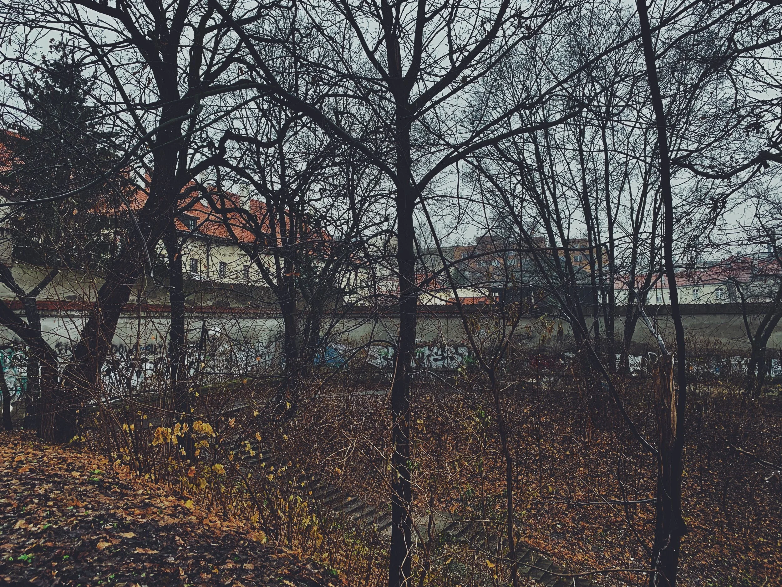 F3889C46-8B40-4D43-8EFE-32714BC6C82A.JPG