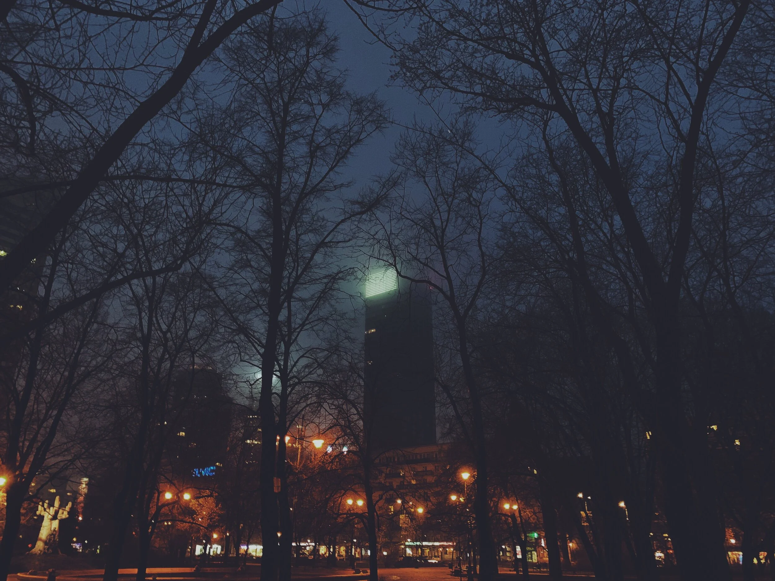 7F00B370-A18B-41DB-8EE5-425A85B2DB59-9FFA0A7E-B723-4857-ABE1-CB07349A4AFA.JPG