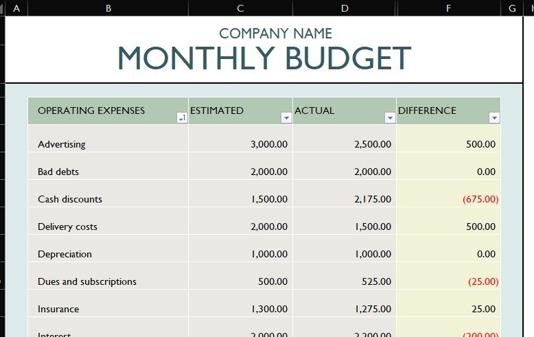 3 - Monthly Company Budget .jpg