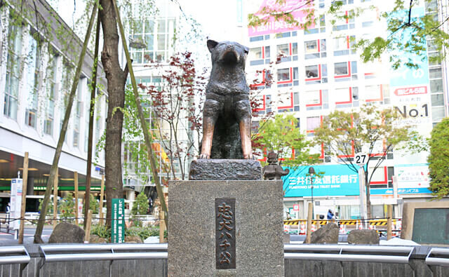 Shibuya Hachiko Statue