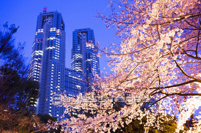 Shinjuku Chuo Park - Spring