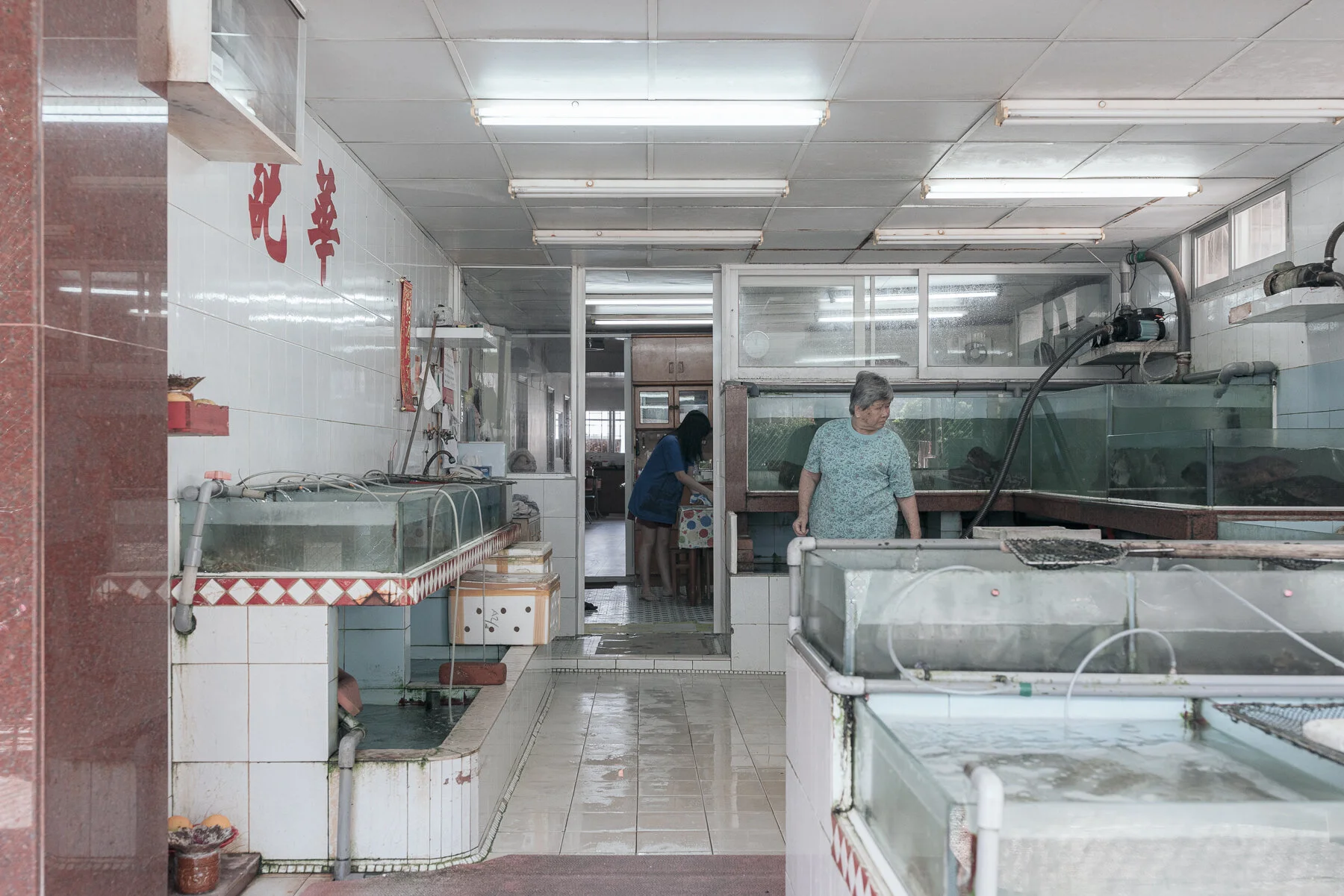 Copywrite Aleck Durlacher-09473.jpg