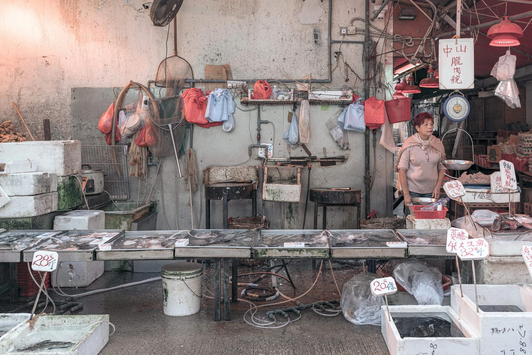 Copywrite Aleck Durlacher-09076.jpg
