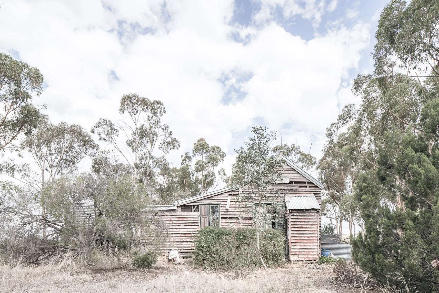 Copywrite Aleck Durlache-9704.jpg