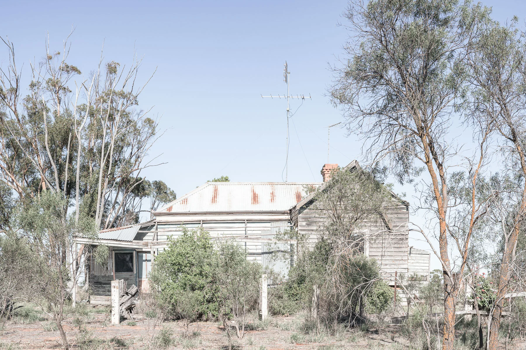 Copywrite Aleck Durlache-9336.jpg