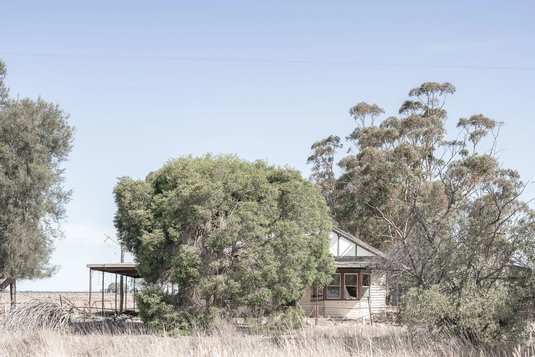 Copywrite Aleck Durlacher-8453.jpg