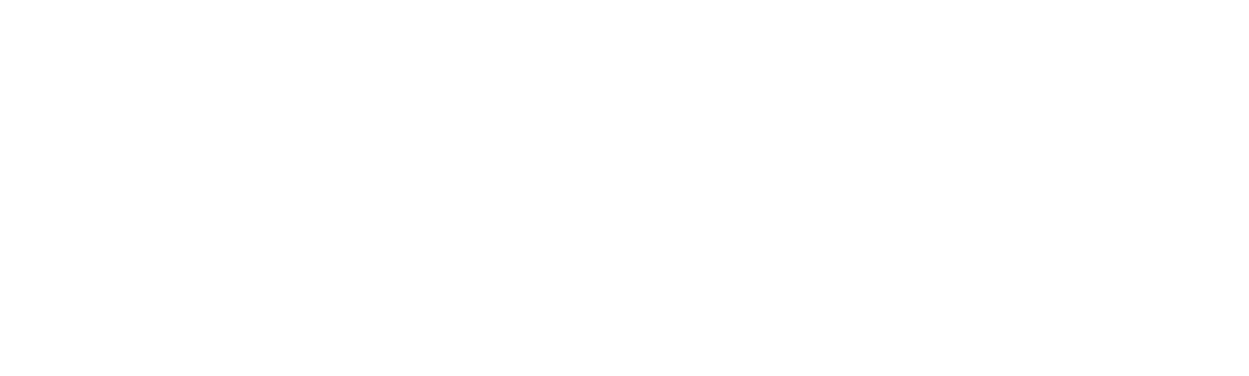 Nuova Simonelli.png