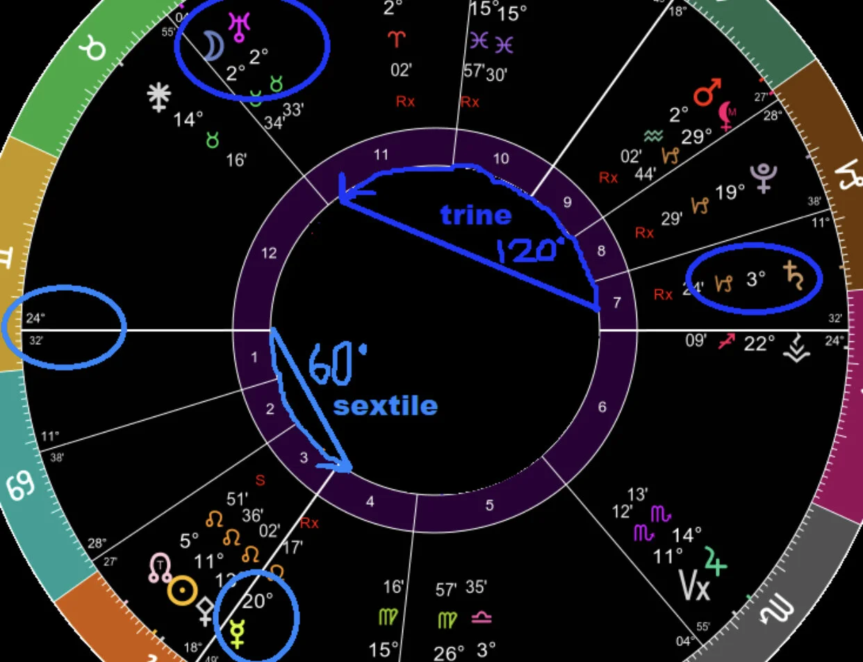 trinesextile.jpeg